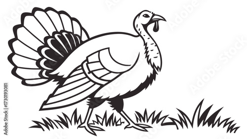 Illustration of a turkey standing in grass with detailed feathers and a wattle in black and white style