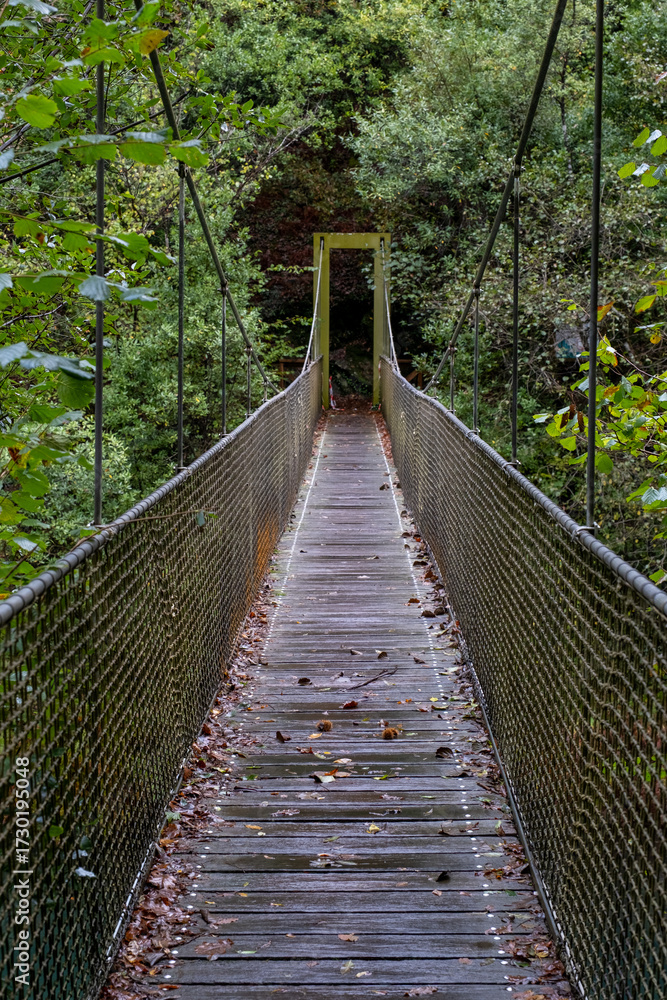 Obraz premium Bridge on the Galician trail surrounded by lush vegetation
