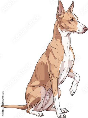 Cirneco dell’Etna dog raising paw cute interaction pose illustration