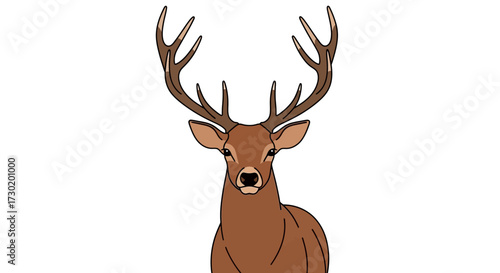 Majestic stag with impressive antlers stands proudly against a clean white background, symbolizing nature's grandeur and wild beauty