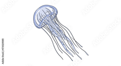 Graceful translucent jellyfish drifts serenely through ocean depths, a mesmerizing symbol of marine wonder and natural beauty