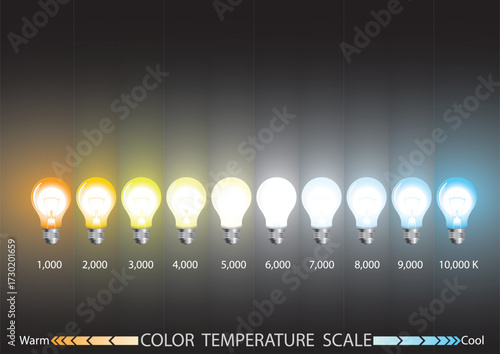 Lamp infographics