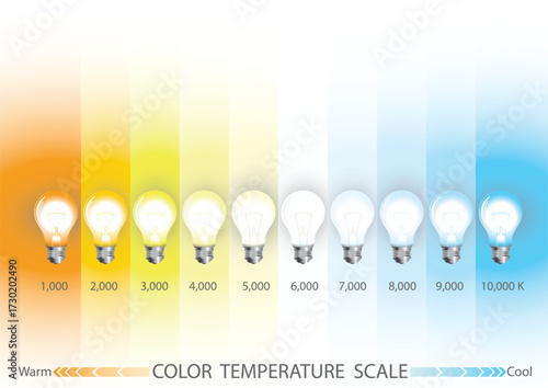 Lamp infographics