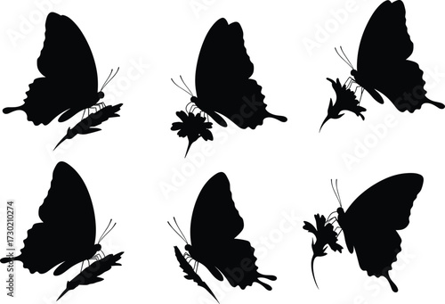 Butterfly silhouettes on flowers, insect shadow vector, butterfly feeding illustration, nature wings outline, pollination insect design, decorative butterfly art, garden insect drawing