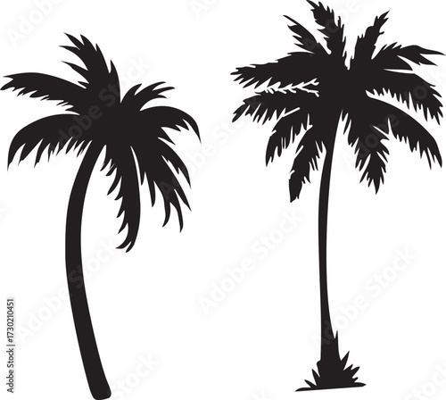 palm tree silhouette