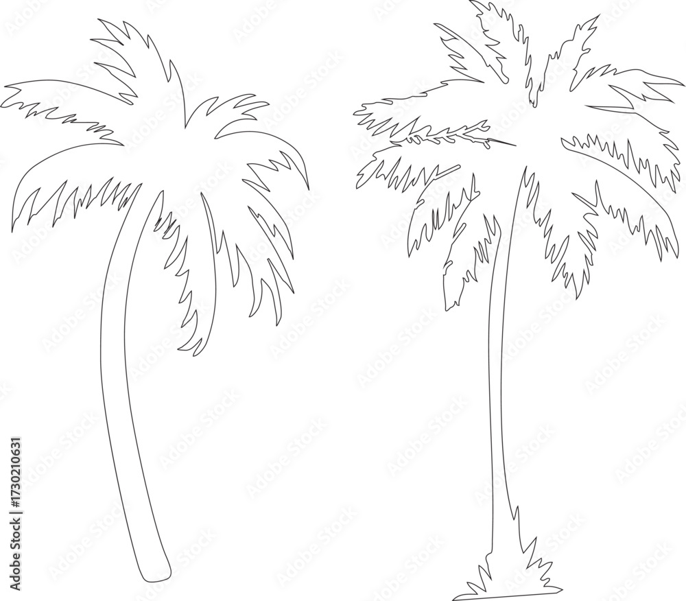 Obraz premium palm tree silhouette