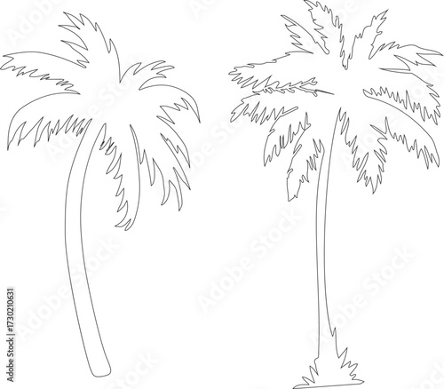 palm tree silhouette