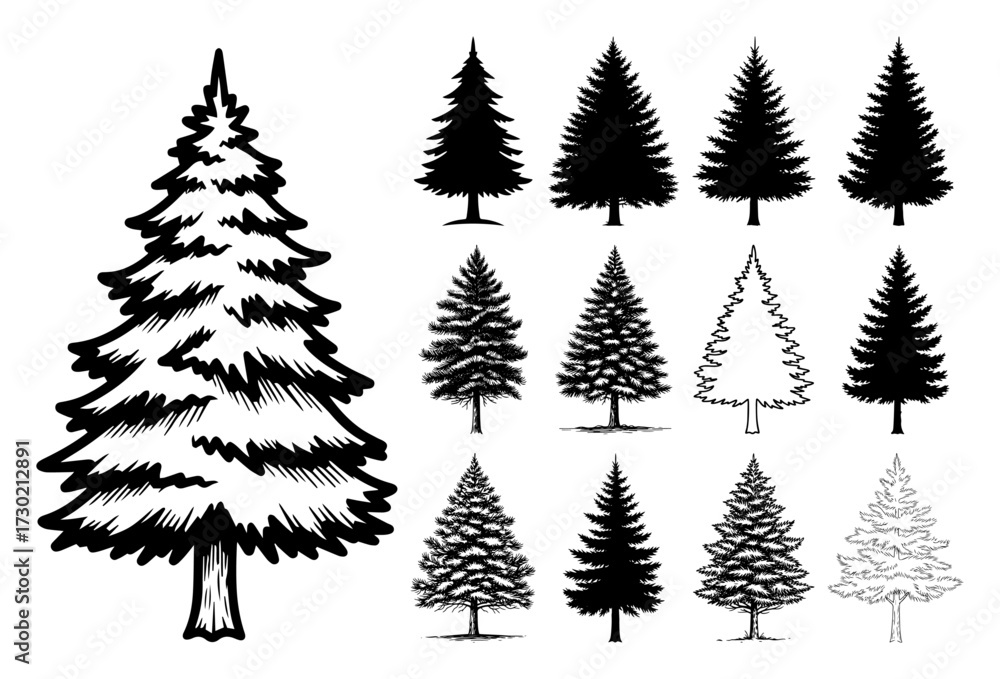 Obraz premium Conifer Pine Spruce Tree Silhouette Set black shape vector laser cutting engraving monochrome print