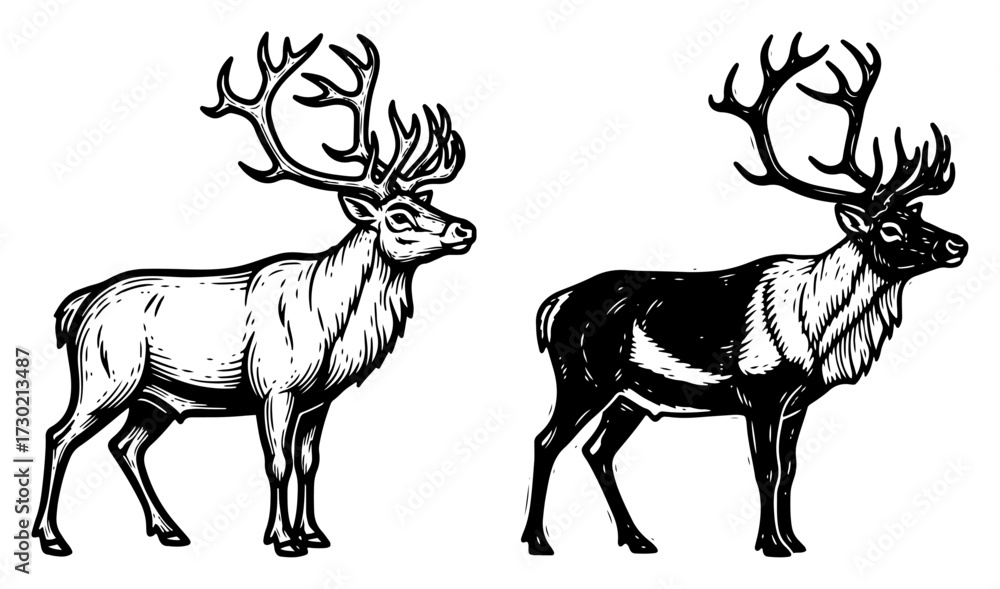 Fototapeta premium Reindeer Caribou Vintage Engraving Set