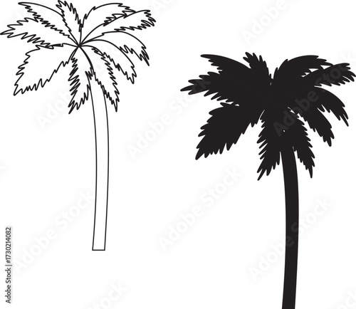 palm tree silhouette