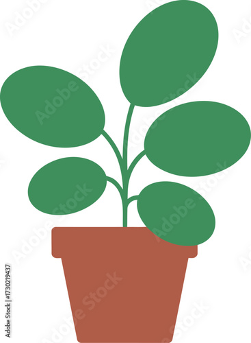 Vibrant green houseplant in a simple terracotta pot, bringing natural beauty indoors.
