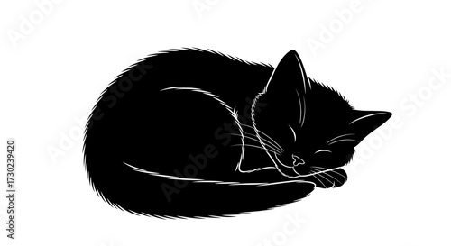 Adorable black kitten curled up sleeping peacefully, a symbol of comfort and serenity for any project.