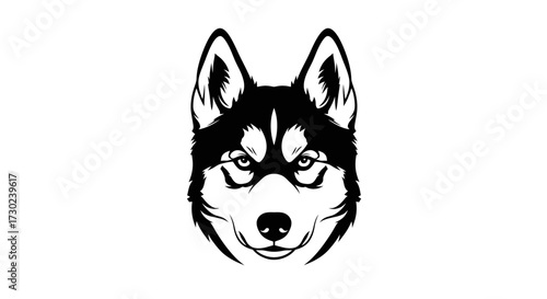 Majestic husky head with piercing gaze, perfect for logo design or striking pet-themed graphics, capturing the spirit of loyalty and adventure
