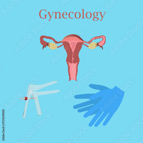 Anatomical structure of the female reproductive system in longitudinal view, gynecological speculum and gloves on a blue background