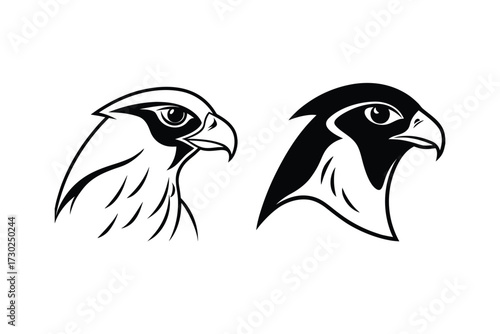 Two striking black and white bird head illustrations in profile views