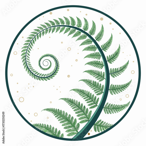 A circular illustration of a fern frond in a spiral shape.