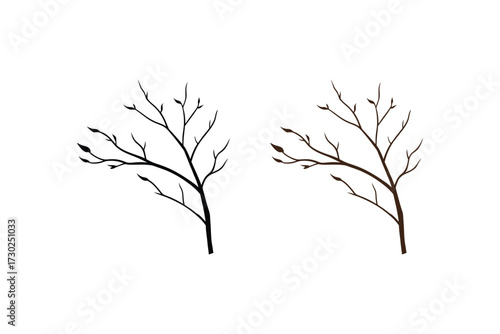 Two delicate branches with minimal leaves on a white background