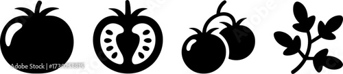 Tomato vector illustration showing whole sliced tomatoes cherry tomatoes and tomato leaves for cooking design
