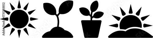 Silhouettes of Sun Seedling Potted Plant and Sunrise for Gardening and Nature Design