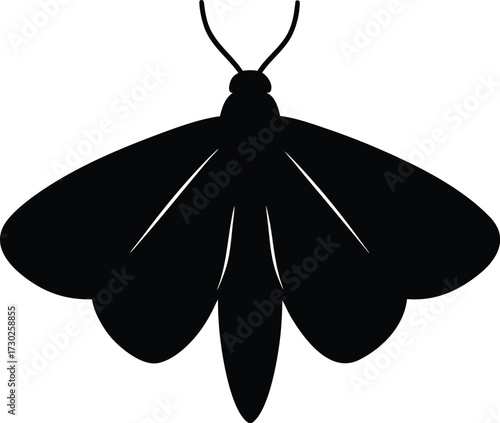 Silhouette of a Moth with Detailed Wings and Antennae