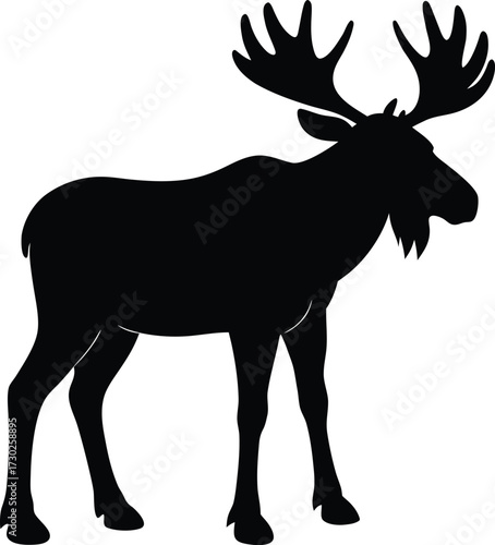 Moose Silhouette Standing Profile Isolated on White Background