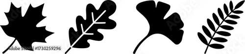 Silhouette Collection of Diverse Leaf Shapes for Creative Projects
