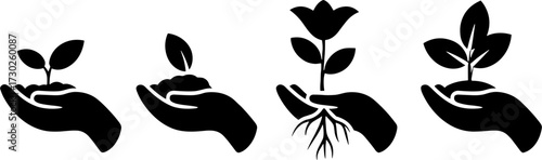 Hand Illustrations of Growing Plants From Seedling to Blooming Flower