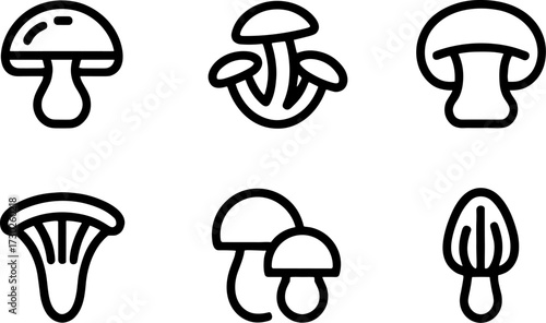 Variety of Simple Mushroom Illustrations for Nature Themes