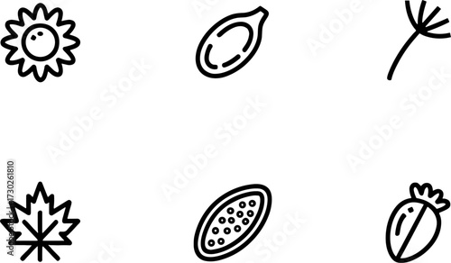 Simple Black Line Drawings of Sunflower Seed Poppy Seed Strawberry Maple Leaf and Dandelion Petal for Coloring and Design
