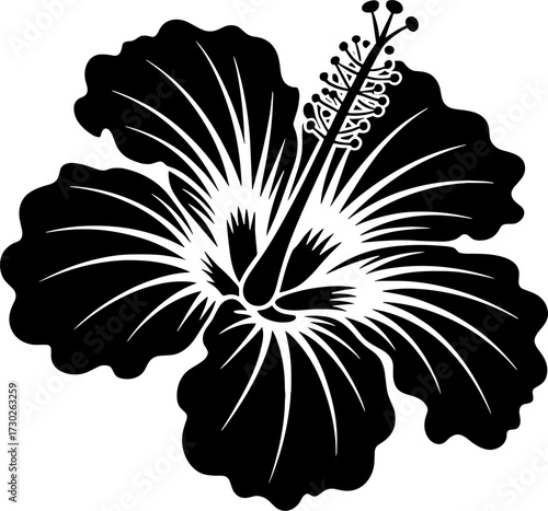 Elegant Hibiscus Flower Design for Tattoo and Coloring Book