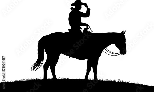 Silhouette of Cowboy on Horse Against Sunset Landscape