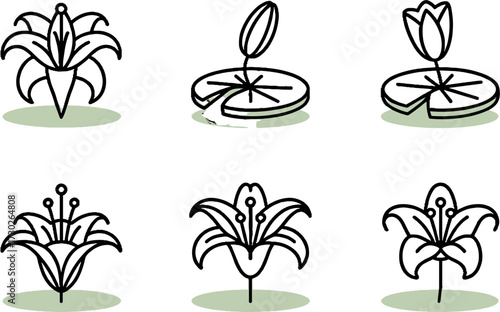 Elegant Black Line Floral Designs Featuring Lilies and Water Lilies
