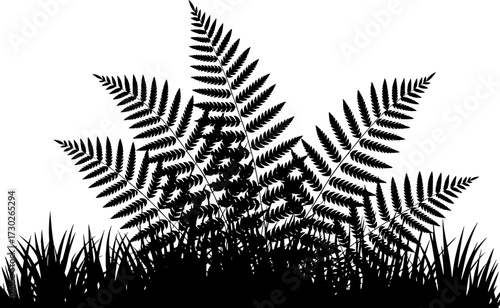 Black Fern Leaves Grass Silhouette Nature Border Design for Tattoo Stencil or Coloring Book