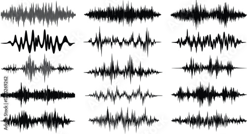 Collection of twelve black and white waveforms depicting sound waves or seismic activity, arranged in rows against a white background.