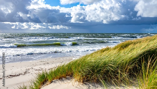 Fototapeta Naklejka Na Ścianę i Meble -  Coastal scene with dunes and waves