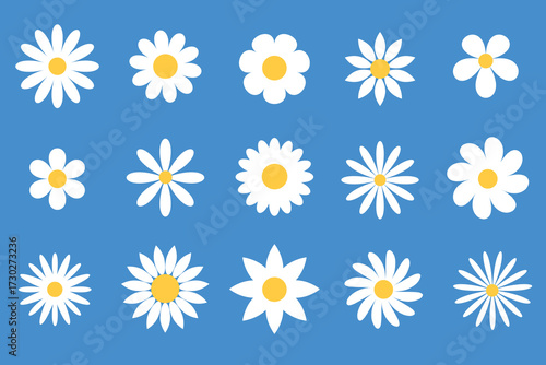 Daisy Flowers Collection on Blue Floral Arrangements and Decorative Elements