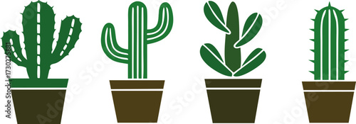 Four distinct cactus plants in pots collection