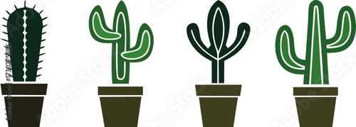Four potted cactus plants diverse desert succulent greenery styles