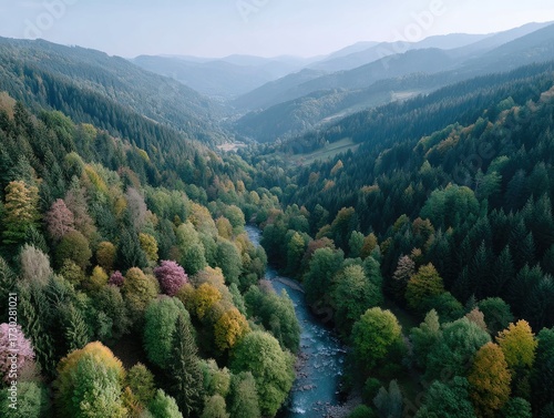 Aerial View of Autumn Forest Valley with River and Hilly Landscape