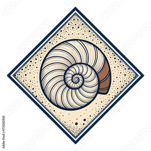 A detailed illustration of a nautilus shell within a decorative diamond frame.