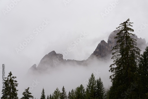 Wald vor Felswand im Nebel unter Wolken