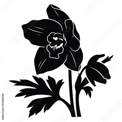 Elegant Black and White Delphinium Flower Graphic Resource Design