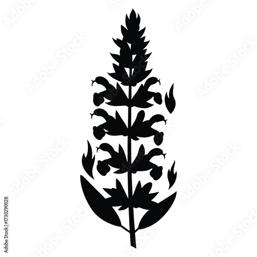Elegant Sage Blossom Silhouette Graphic on White Background for Designers