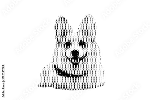 Cute, purebred white Pomeranian puppy sitting happily, isolated on a white background in a studio portrait.