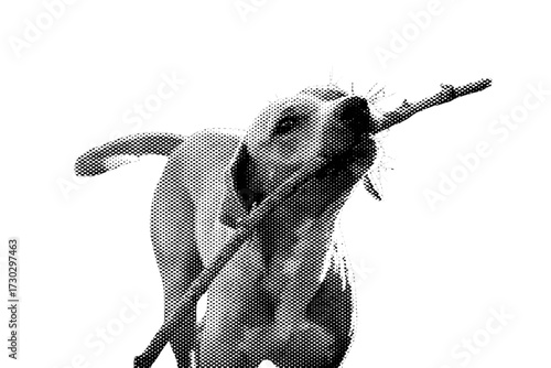 A cute white puppy illustration of a sitting retriever and labrador mix, a funny domestic pet dog sketch.