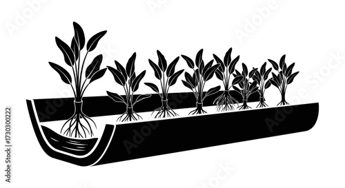 Modern hydroponic system showcasing healthy plants with visible roots growing in water for sustainable agriculture and urban farming concepts.