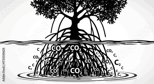 Mangrove roots absorb carbon dioxide from water, illustrating natural carbon sequestration and environmental protection for a healthier planet.