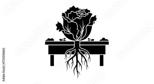 Rooted produce growing in a raised garden bed, symbolizing healthy food and sustainable agriculture.
