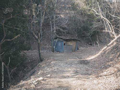 小さな小屋を発見