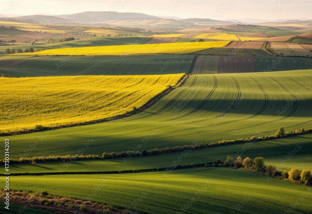 Fototapeta premium Vast agricultural fields stretching to the horizon with vibrant irrigation systems